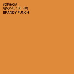 #DF8A3A - Brandy Punch Color Image